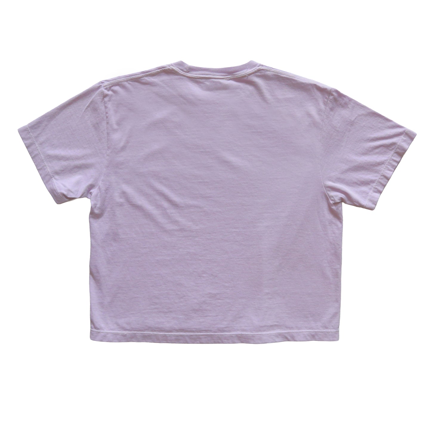 HECTOPASCAL TAG LADIES T-SHIRT PURPLE