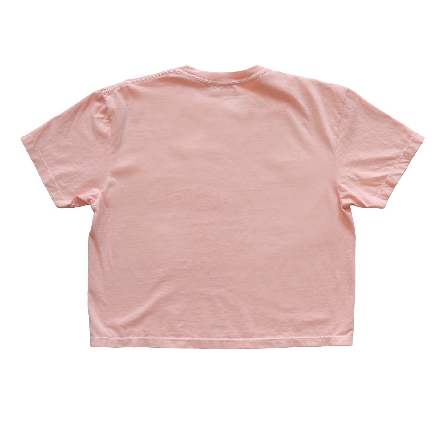 HECTOPASCAL TAG LADIES T-SHIRT PINK